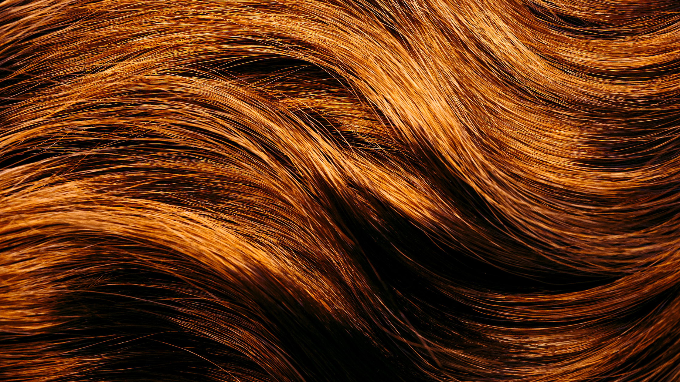 Copper and auburn hair color tones trending this fall in Ennis, TX