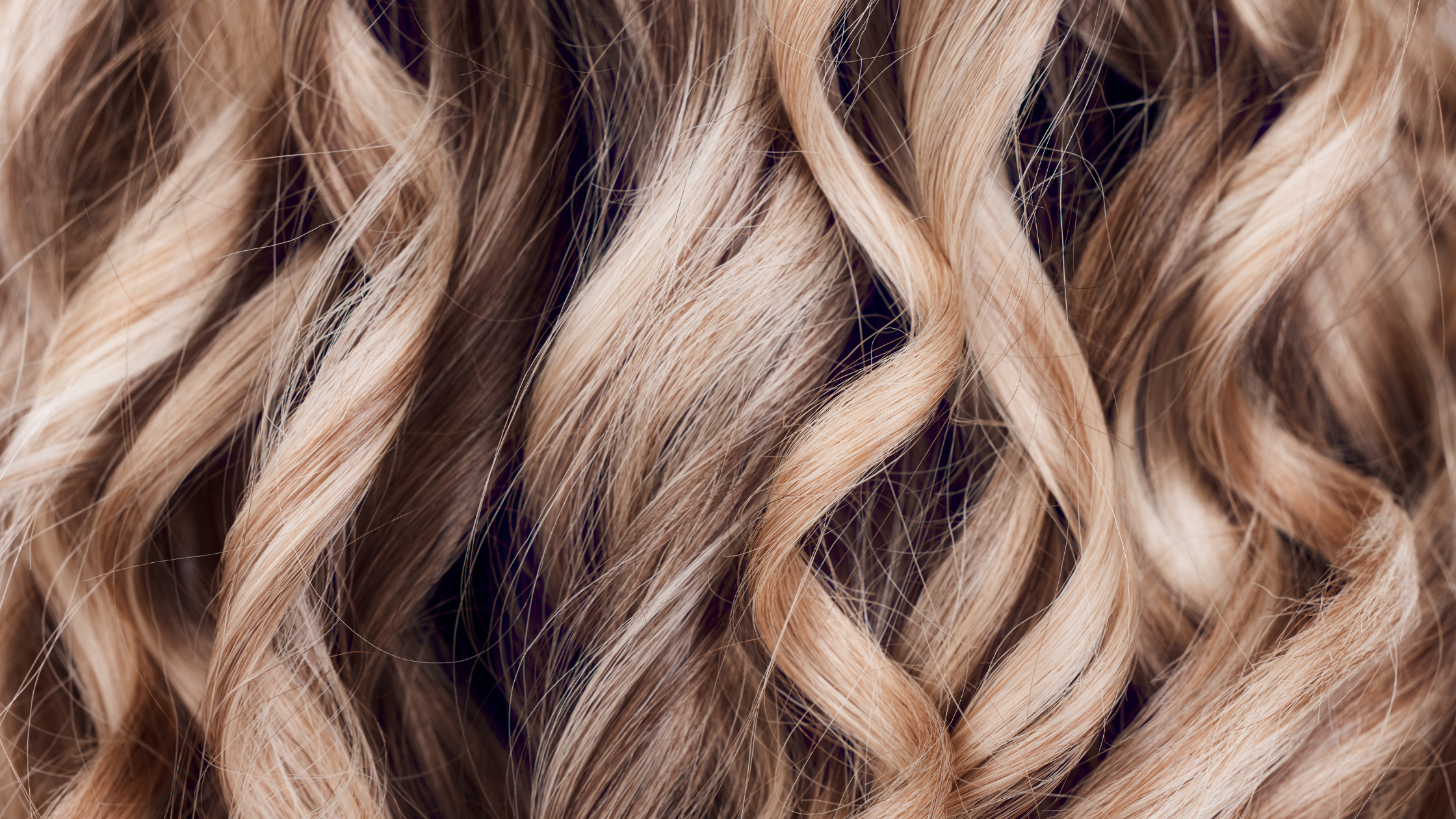 Warm caramel and toffee balayage hair color for fall at Salon de Allure
